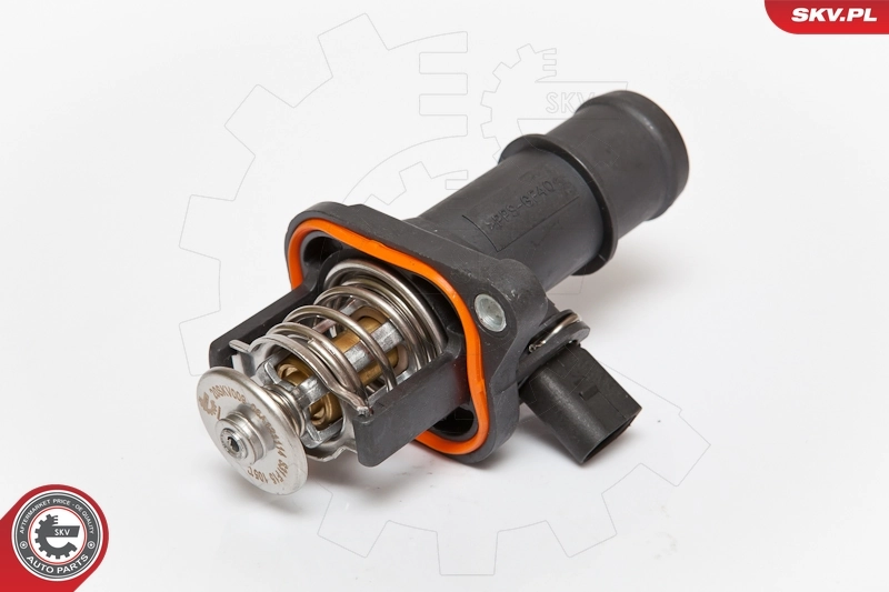 Thermostat, coolant